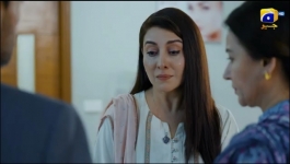 Zabt - Last Episode 41 - 13th July 2026